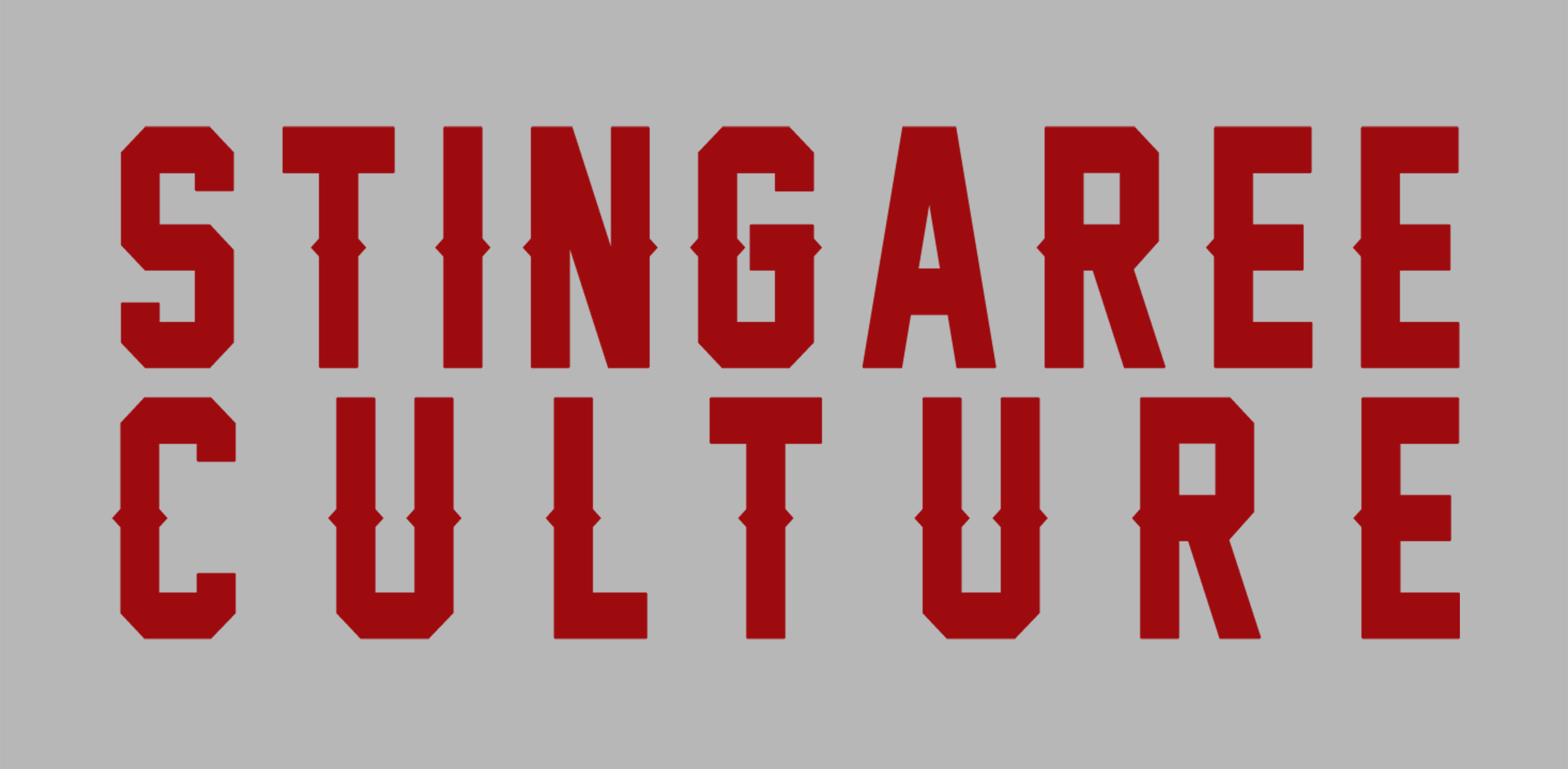 GO BIG RED FIGHTING STINGAREES! Unisex Tee